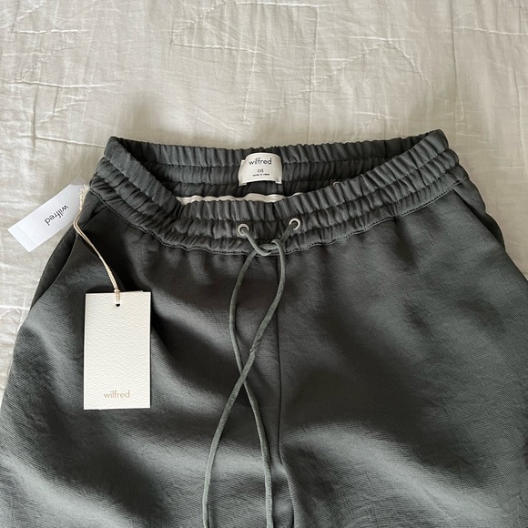 Aritzia Wilfred Buffon Pant - Sage - Picture 4 of 4